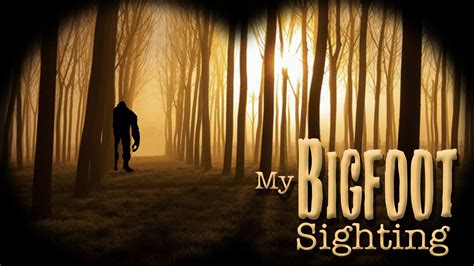 my bigfoot sighting|My Bigfoot Sighting (a different kind of Bigfoot podcast).